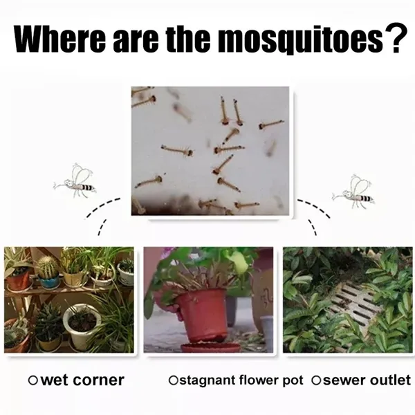2-in-1 Solar LED Garden Light & Mosquito Zapper  UV Insect Killer for Outdoor Use