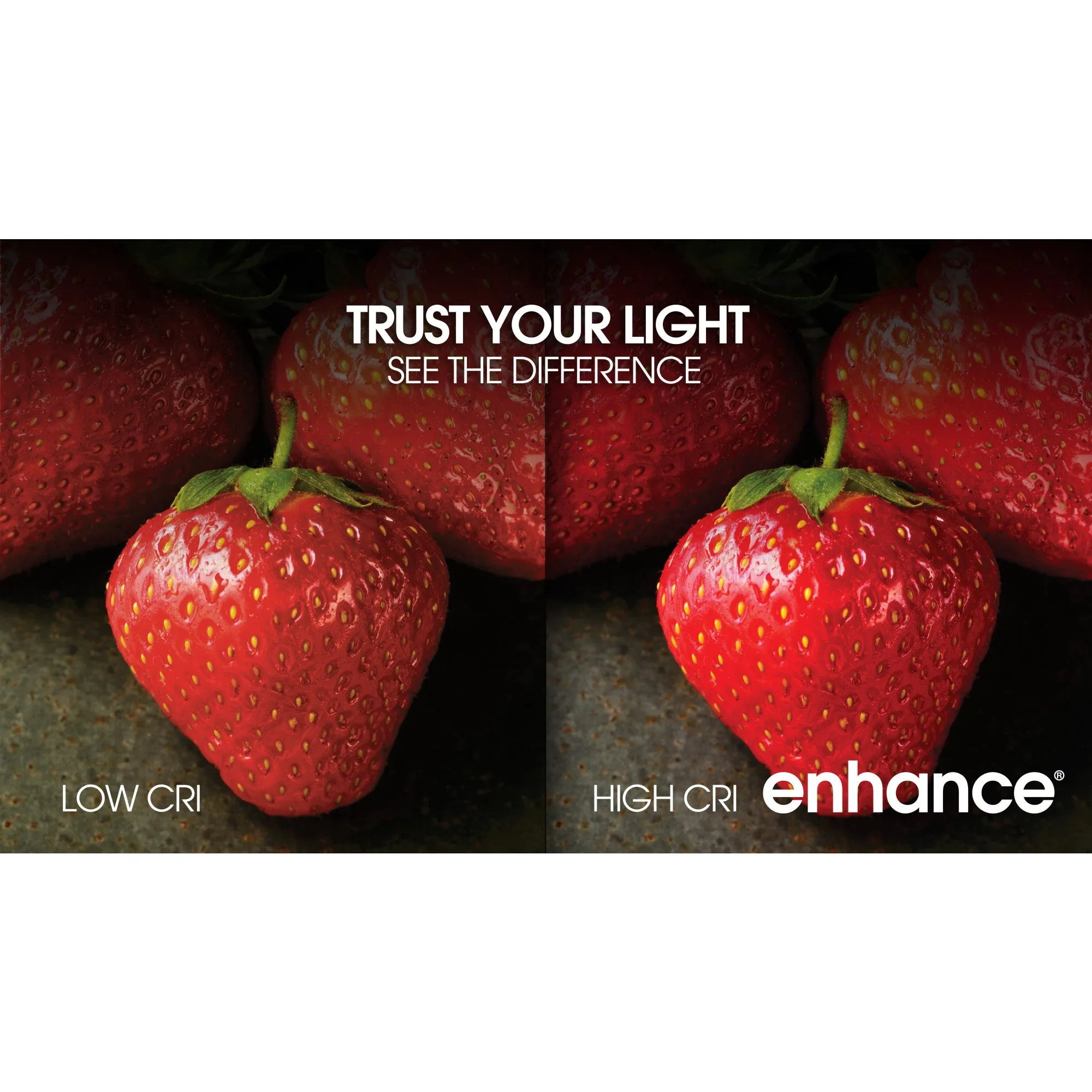 2.5W (25W Replacement) Soft White (2700K) E26 Base G25 Dimmable Frosted Enhance Glass Filament Globe LED Bulb