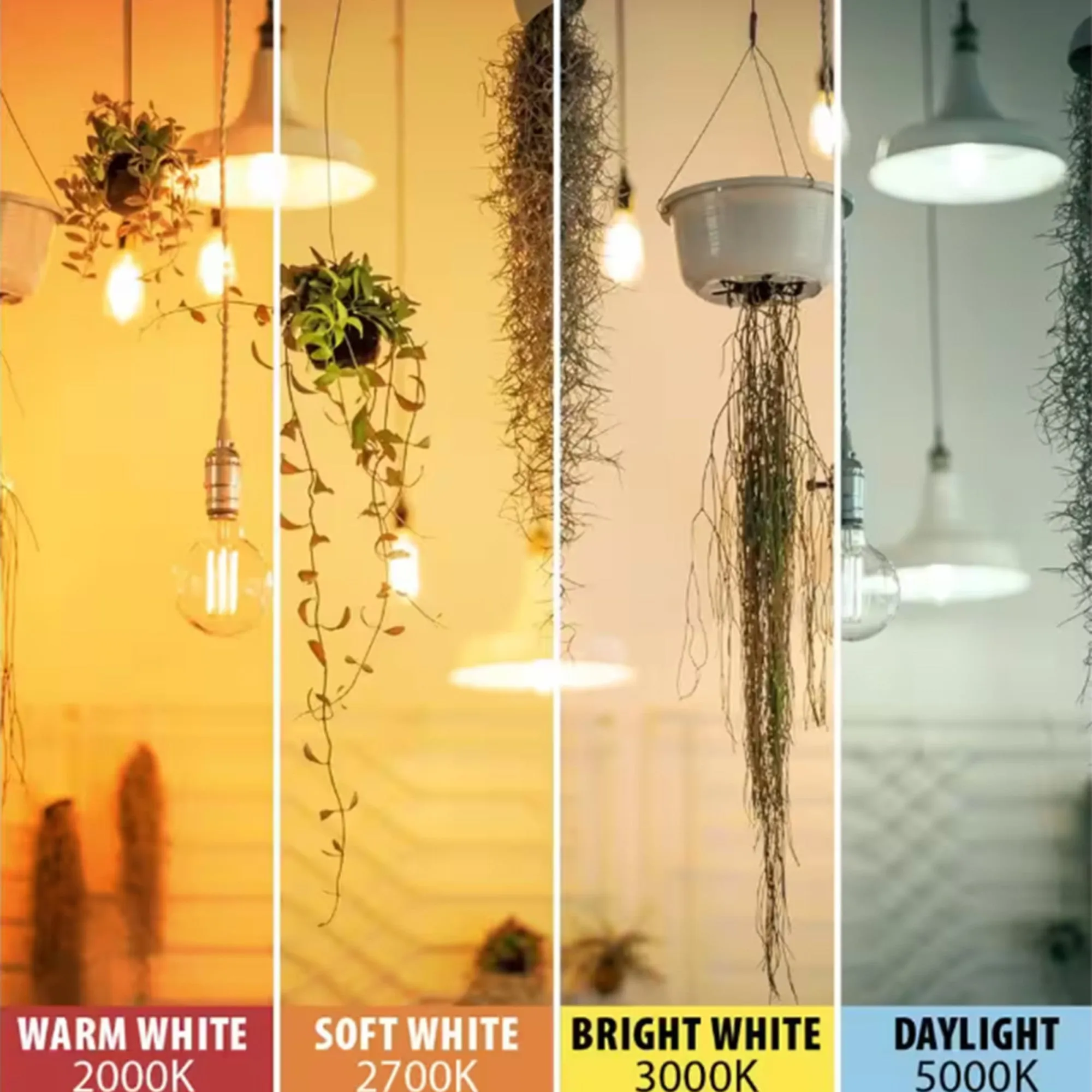 5.5W (60W Replacement) ST19 E26 Dimmable Straight Filament Amber Glass Vintage Edison LED Light Bulb, Warm Light (96-Pack)