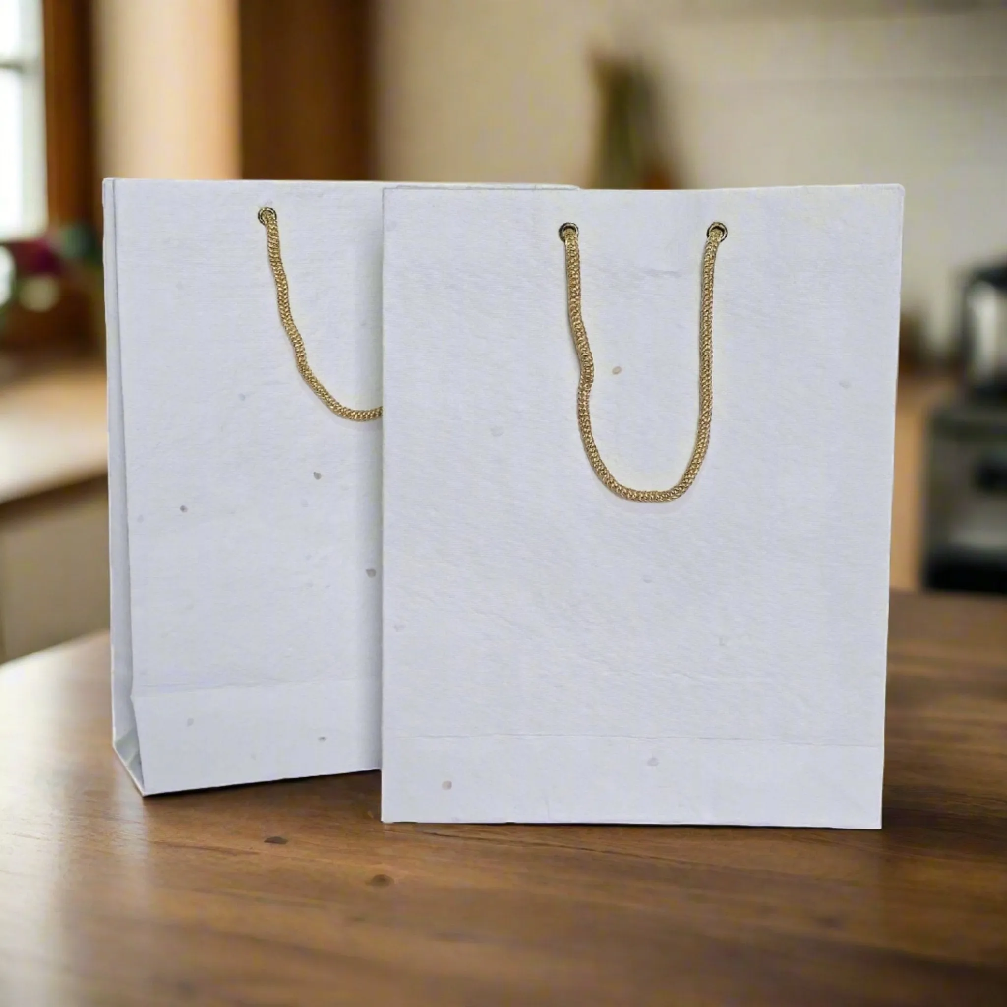 Eco Friendly Plantable Seed Paper Gifting Bags 8"x10" size