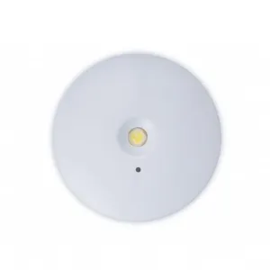 Emergency Exit LED Downlight