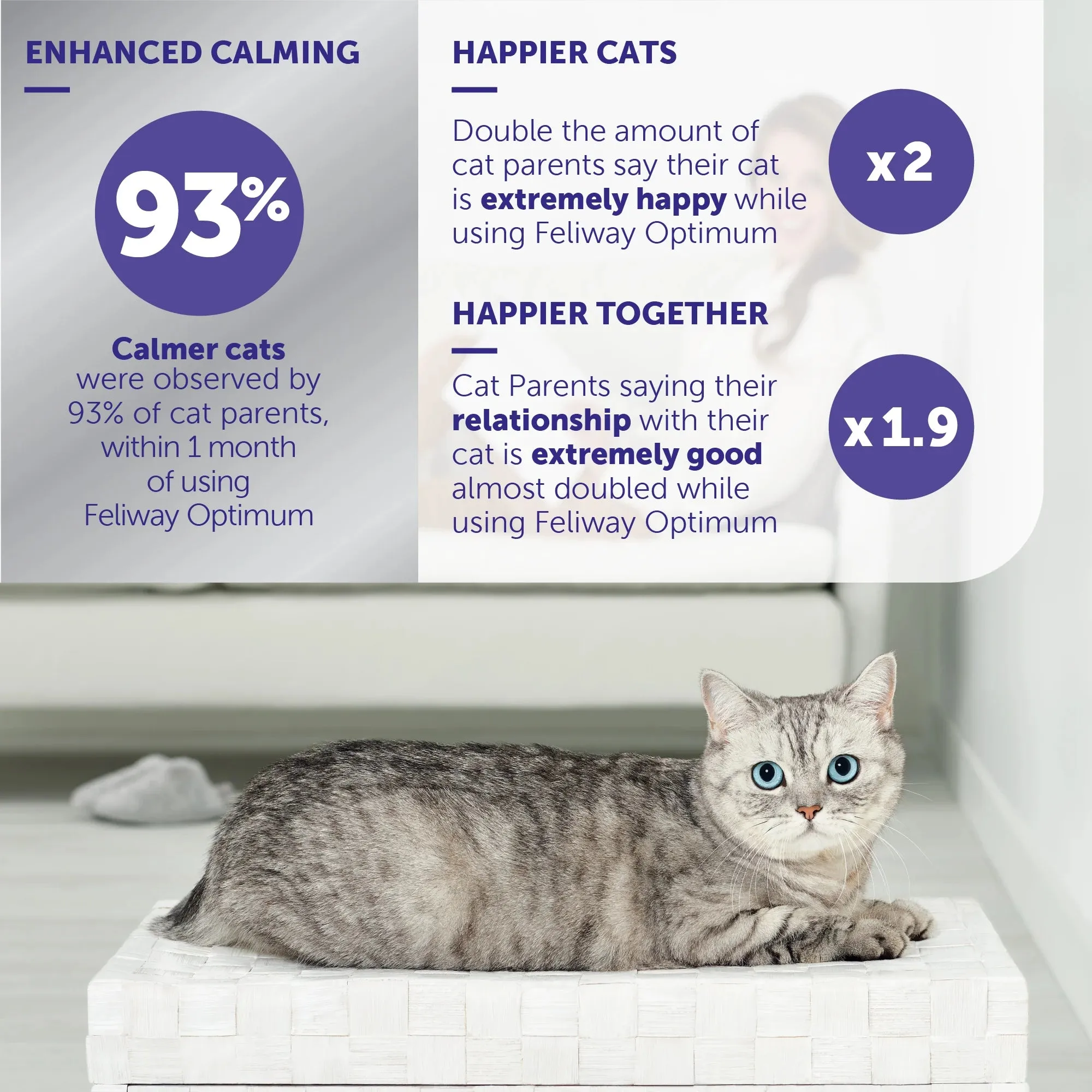Feliway - Optimum - Cat Calmer Starter Kit