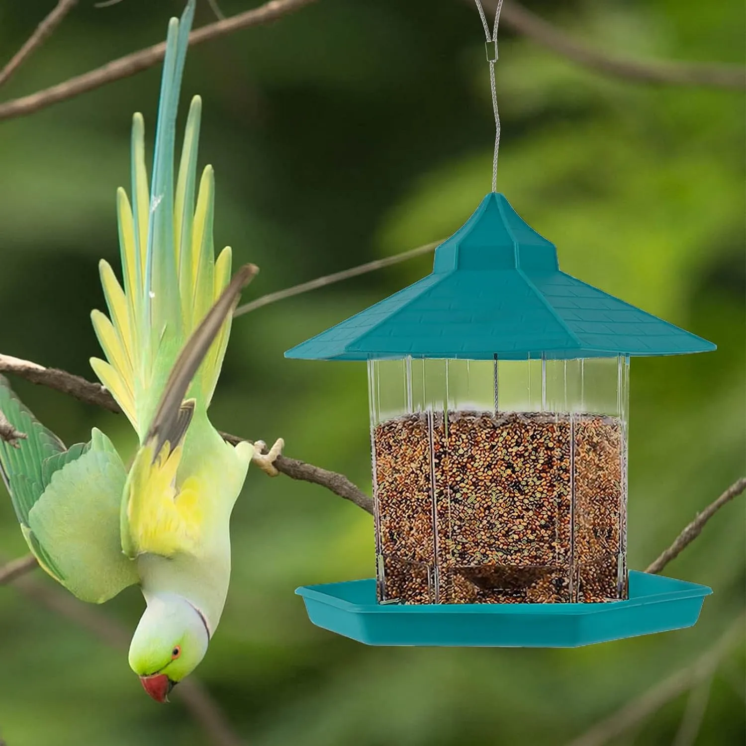 Kuber Industries Bird Feeder for Balcony Grill|PP Grain Holder for Garden, Outdoor|Stylish Hut Shape with Hanging Wire (Green)