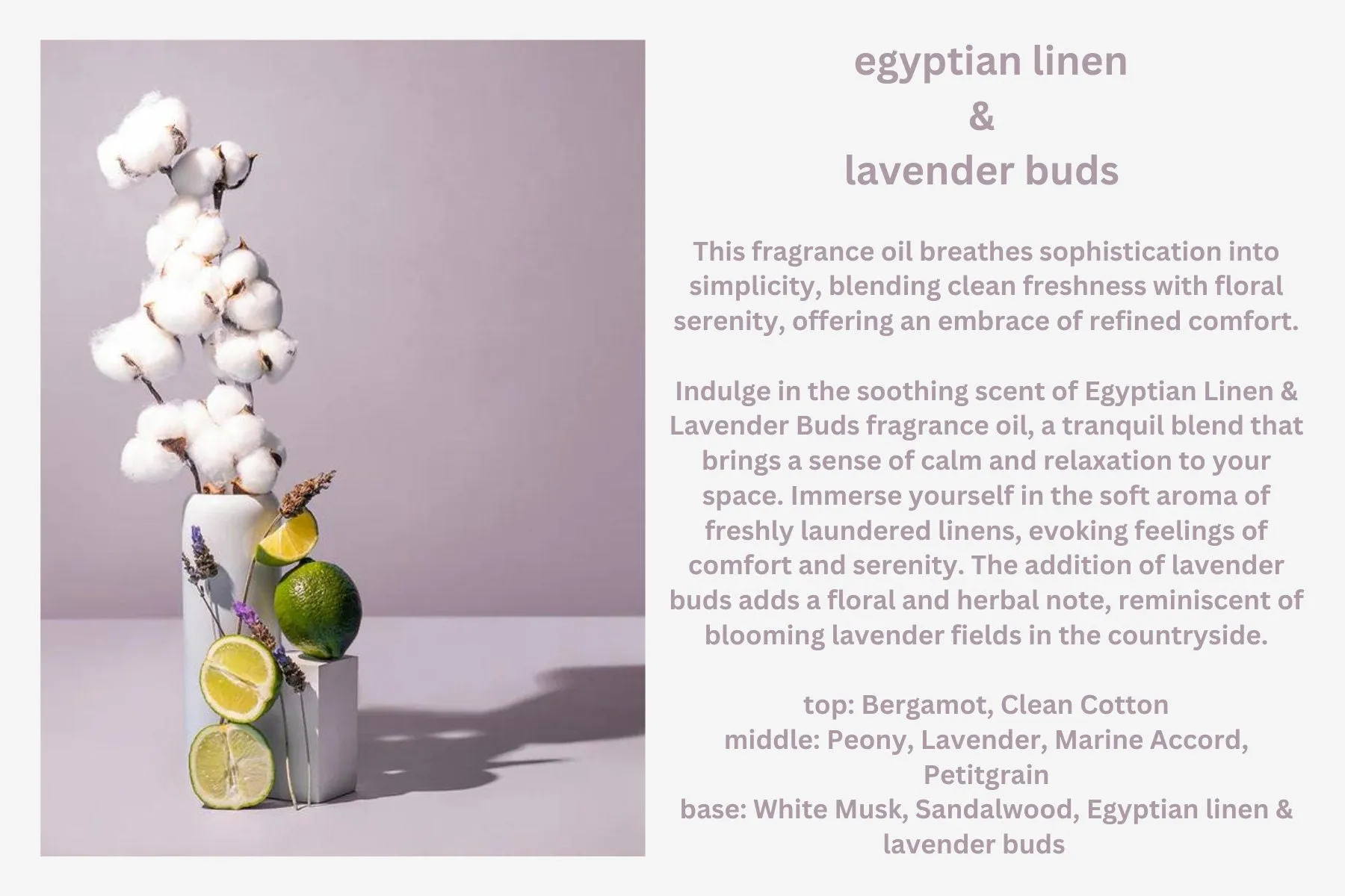 Lavender Scented Soy Candles a Variety of Aromas - Discovery Calming, Relaxing, & Cozy Vibes - 8oz.