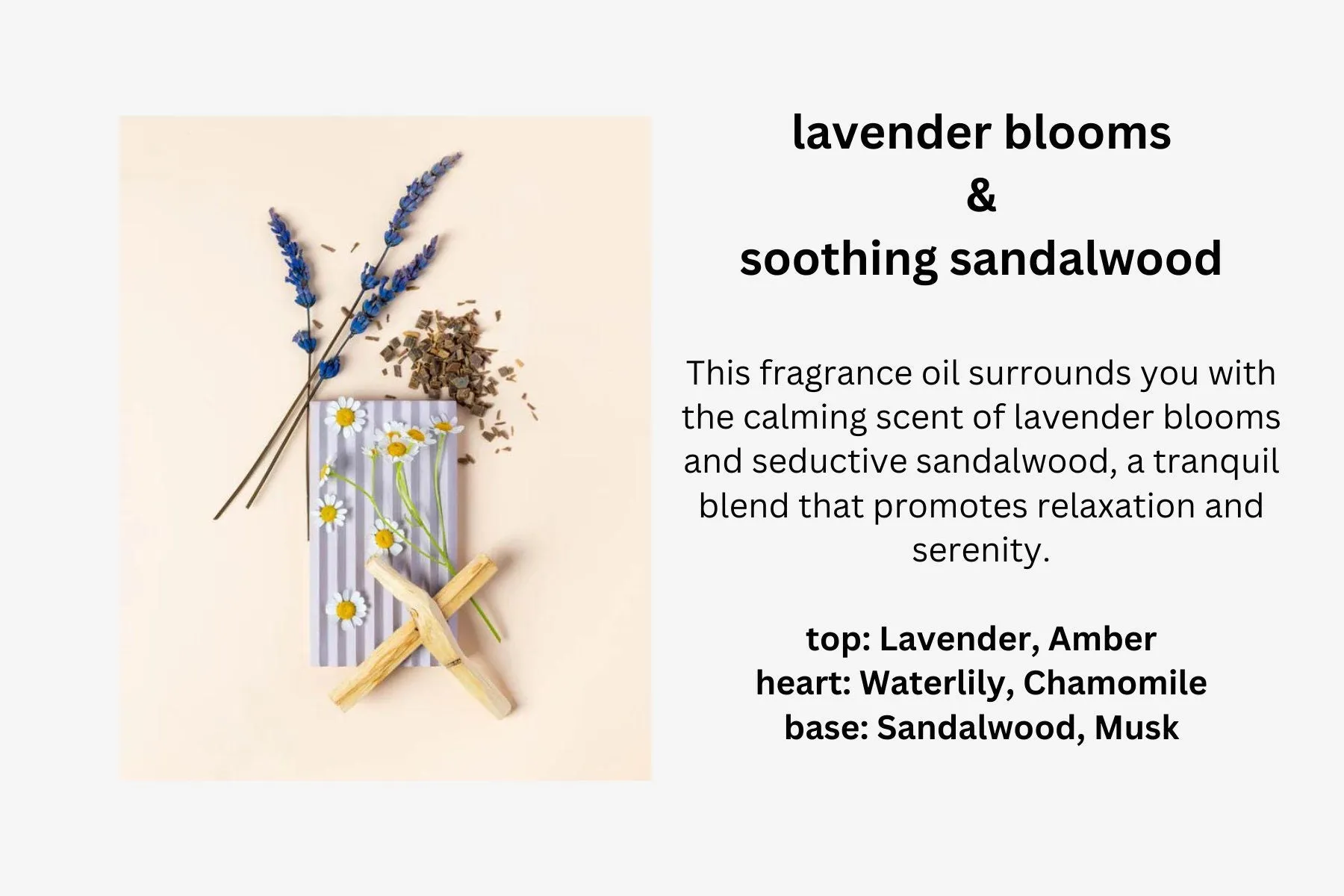 Lavender Scented Soy Candles a Variety of Aromas - Discovery Calming, Relaxing, & Cozy Vibes - 8oz.