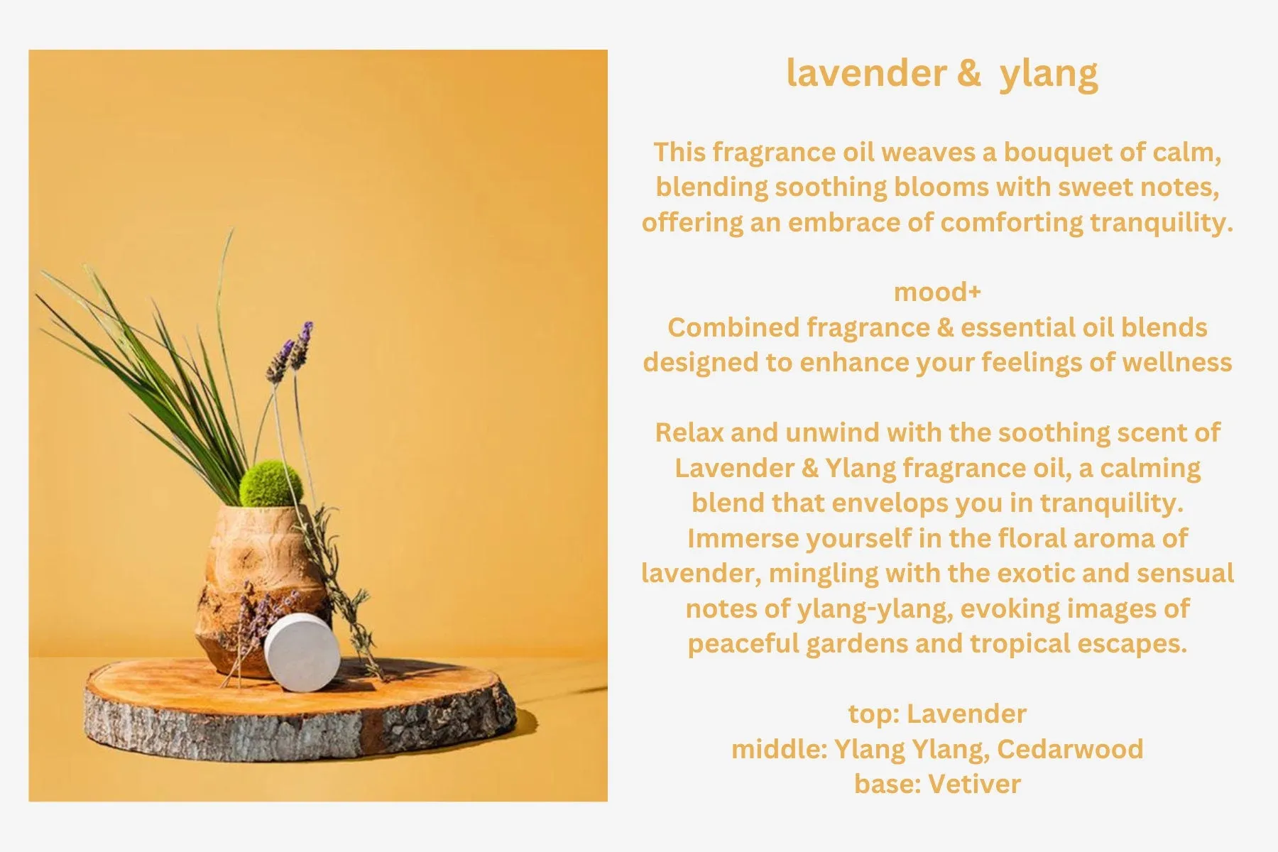 Lavender Scented Soy Candles a Variety of Aromas - Discovery Calming, Relaxing, & Cozy Vibes - 8oz.