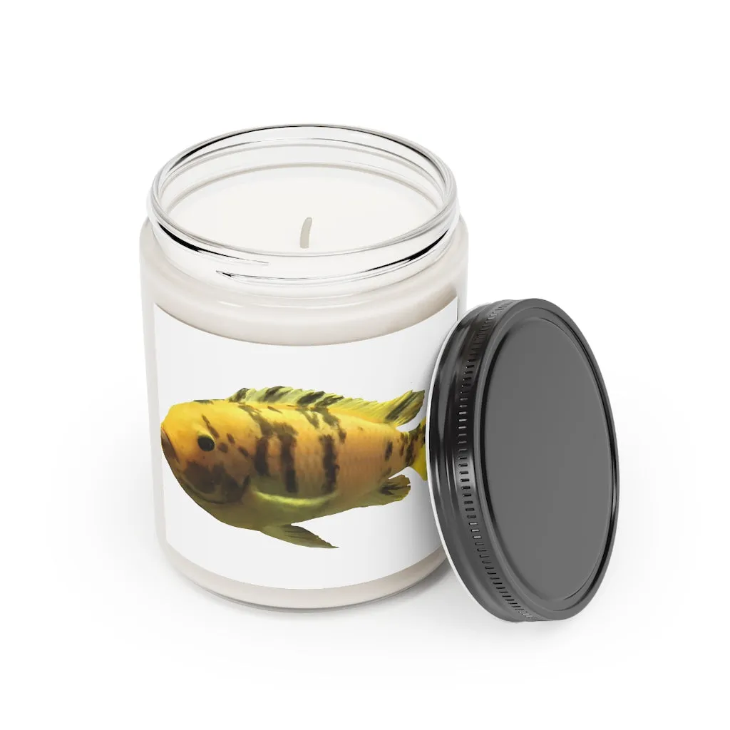 Orange Fish Scented Candle, 9oz