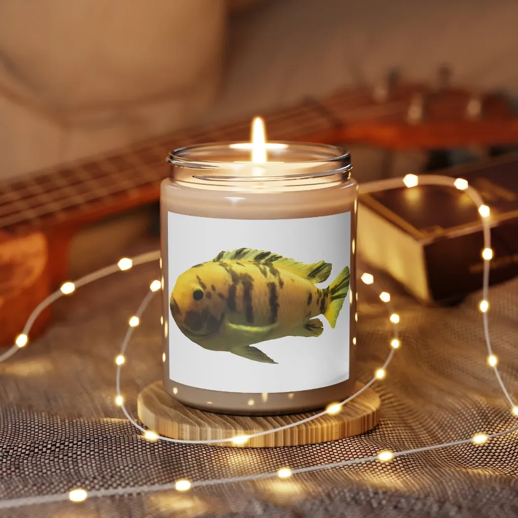 Orange Fish Scented Candle, 9oz