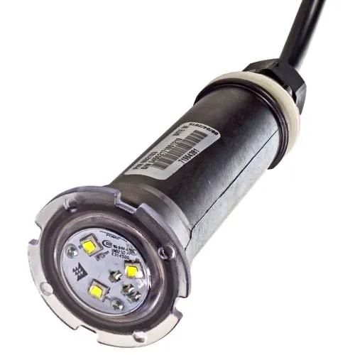 Pentair GloBrite White LED Light 602103 - 50 Foot Cord