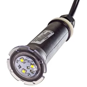Pentair GloBrite White LED Light 602103 - 50 Foot Cord