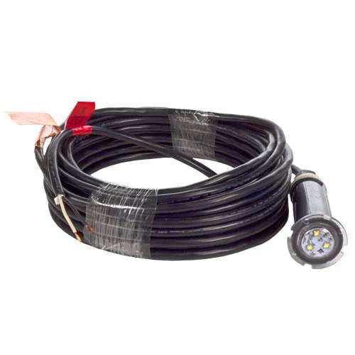 Pentair GloBrite White LED Light 602103 - 50 Foot Cord