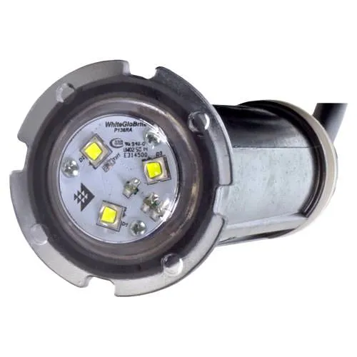 Pentair GloBrite White LED Light 602103 - 50 Foot Cord