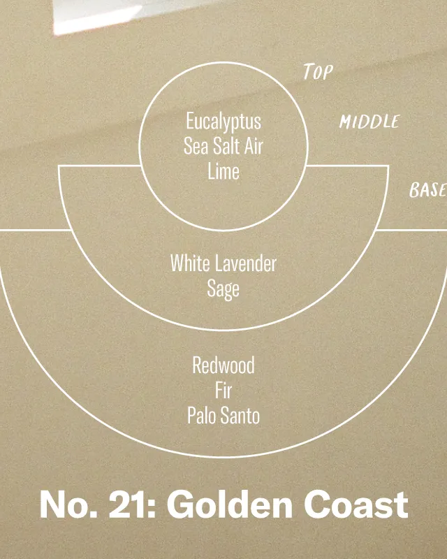 P.F. Candle Co. Reed Diffuser - Golden Coast