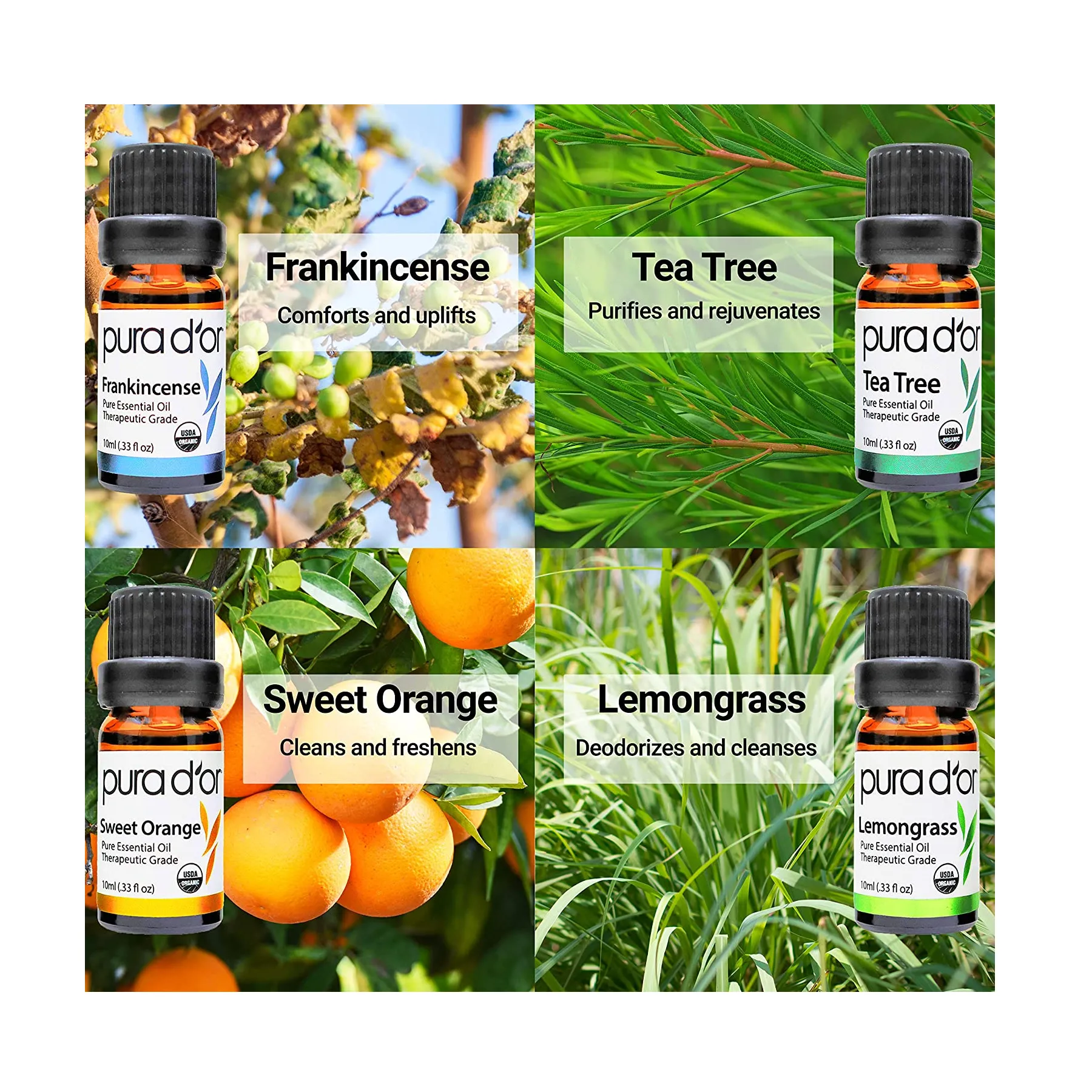 PURA D'OR Organic Essential Oils Set of 10 10ml Perfect10 Wood Box Gift Set- 100% Pure Therapeutic Grade Aromatherapy for Home Diffusers