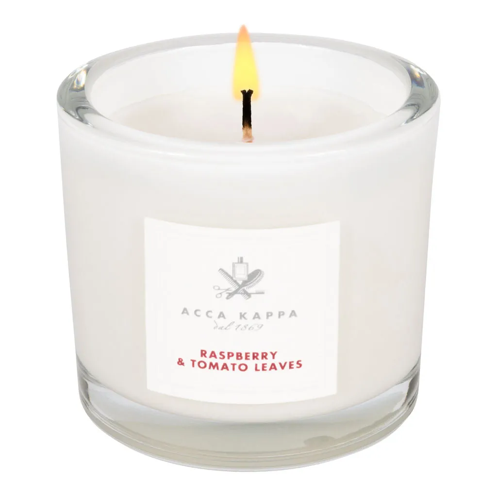 Raspberry & Tomato Leaves Candle