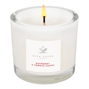 Raspberry & Tomato Leaves Candle