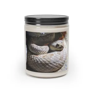 Snake Scented Candle, 9oz