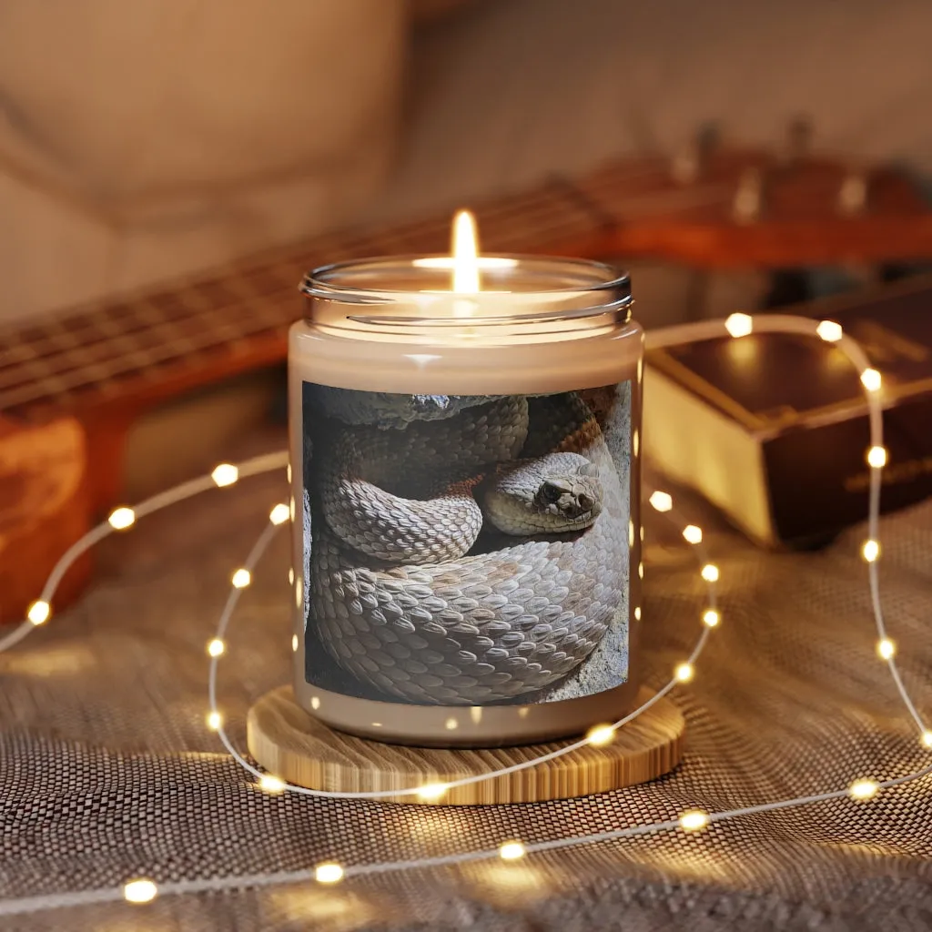 Snake Scented Candle, 9oz