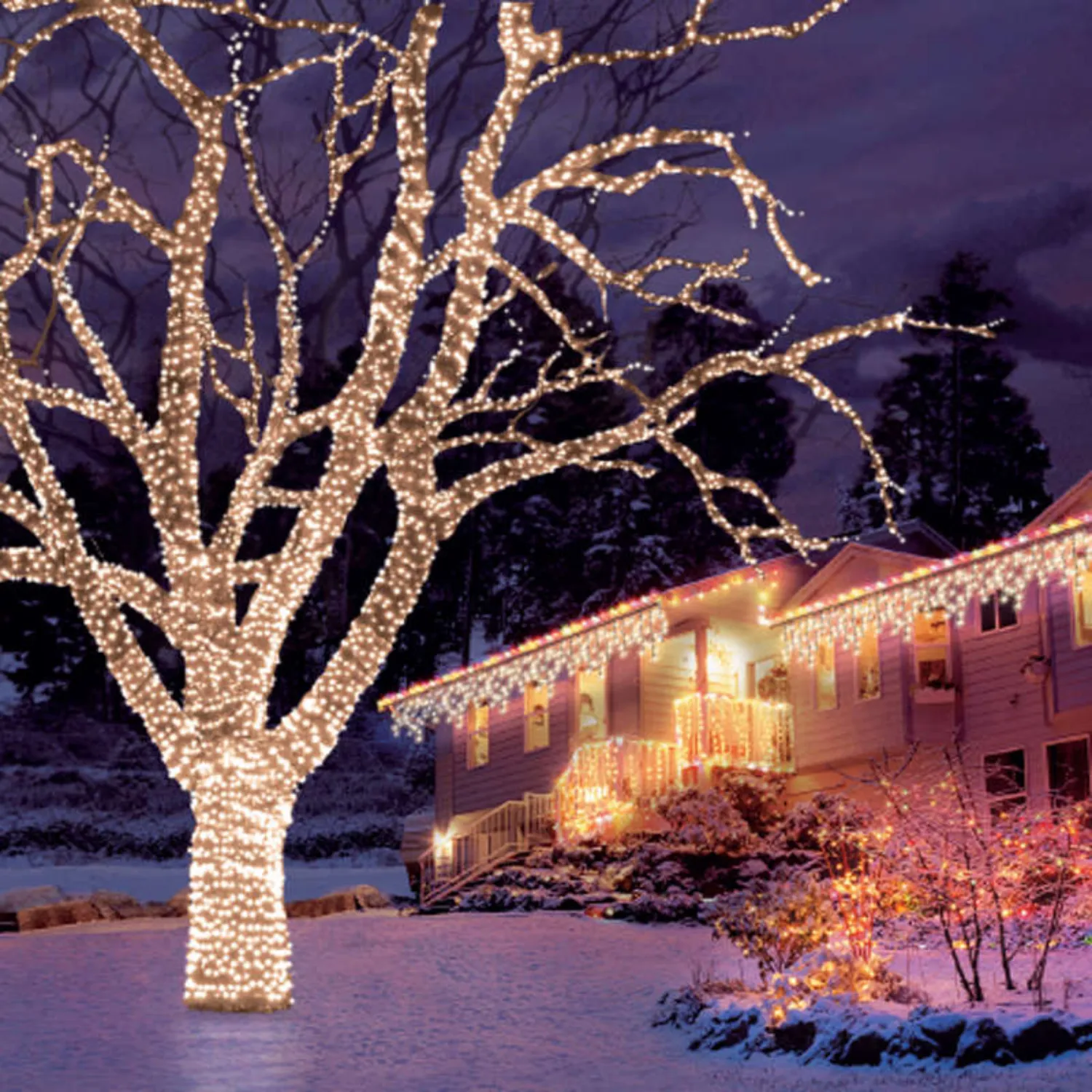 Snowtime 100 LED Warm White Connectable Lights (10m)