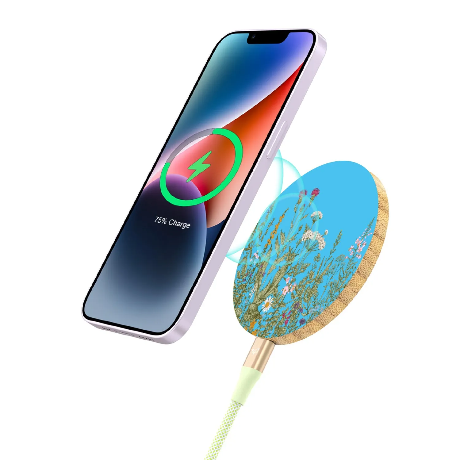 Take Root - Bamboo Wireless Charger