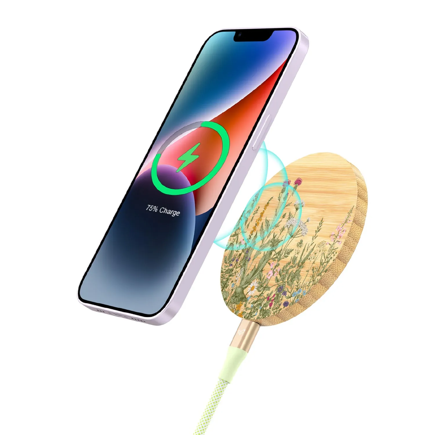Take Root - Bamboo Wireless Charger