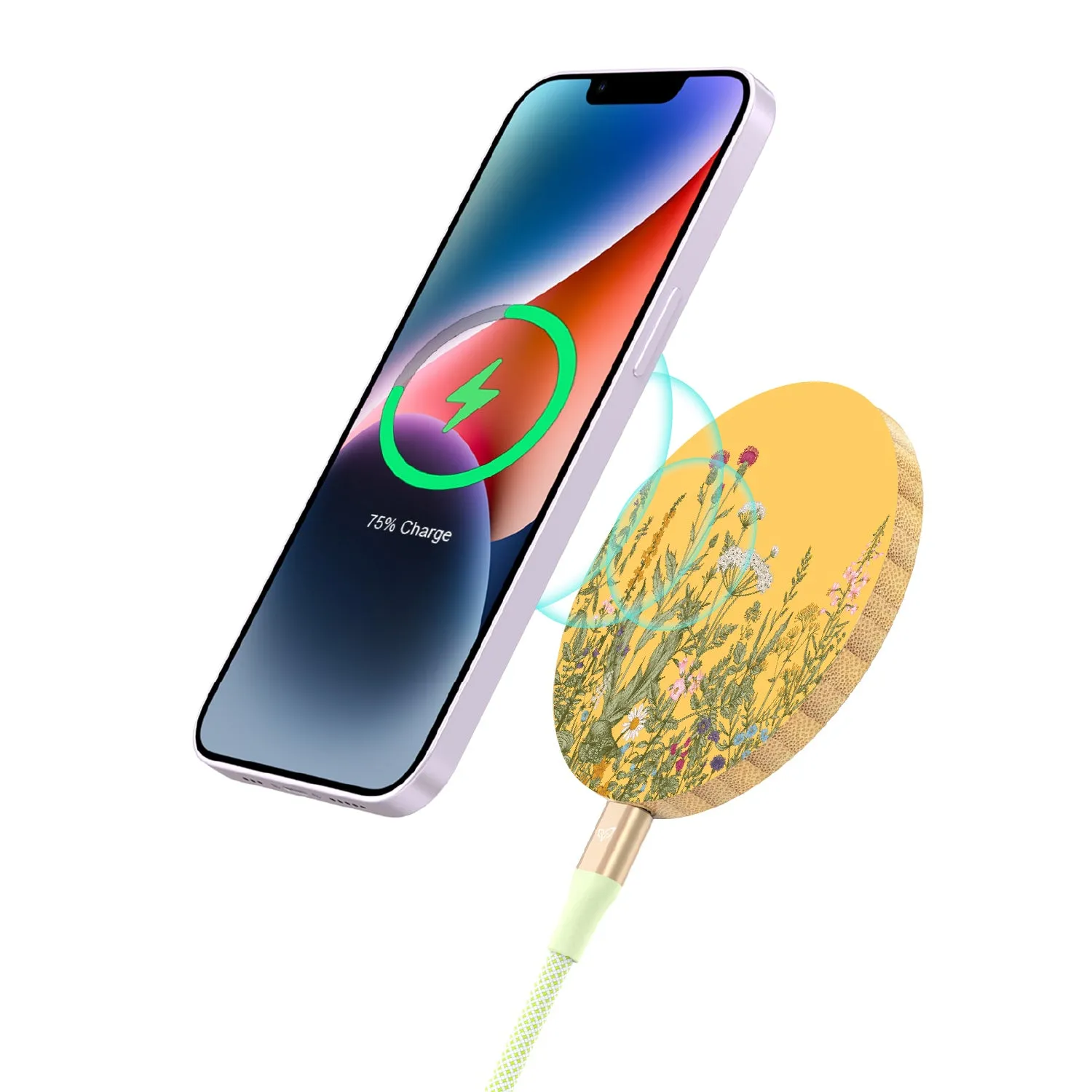 Take Root - Bamboo Wireless Charger
