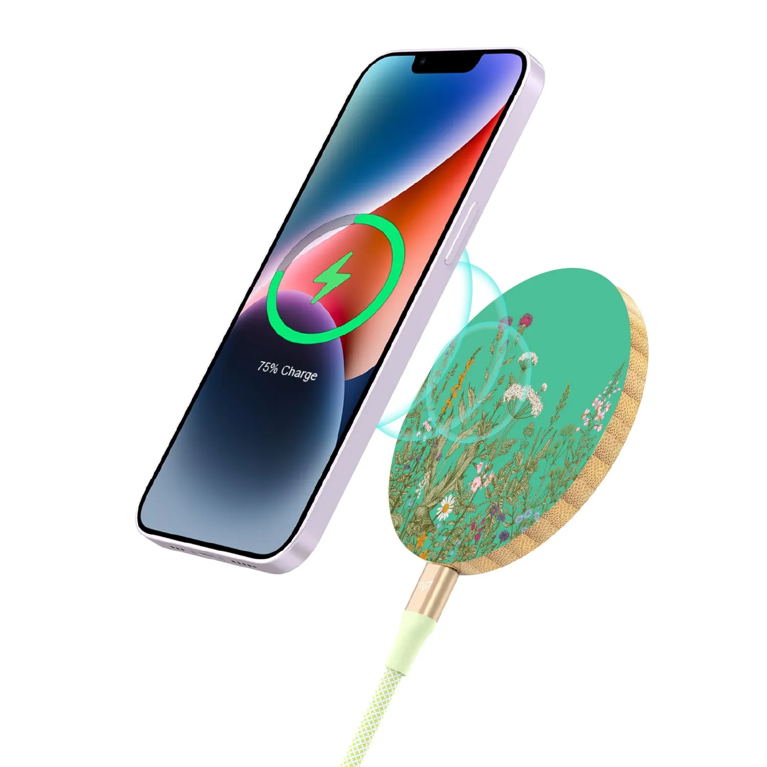 Take Root - Bamboo Wireless Charger