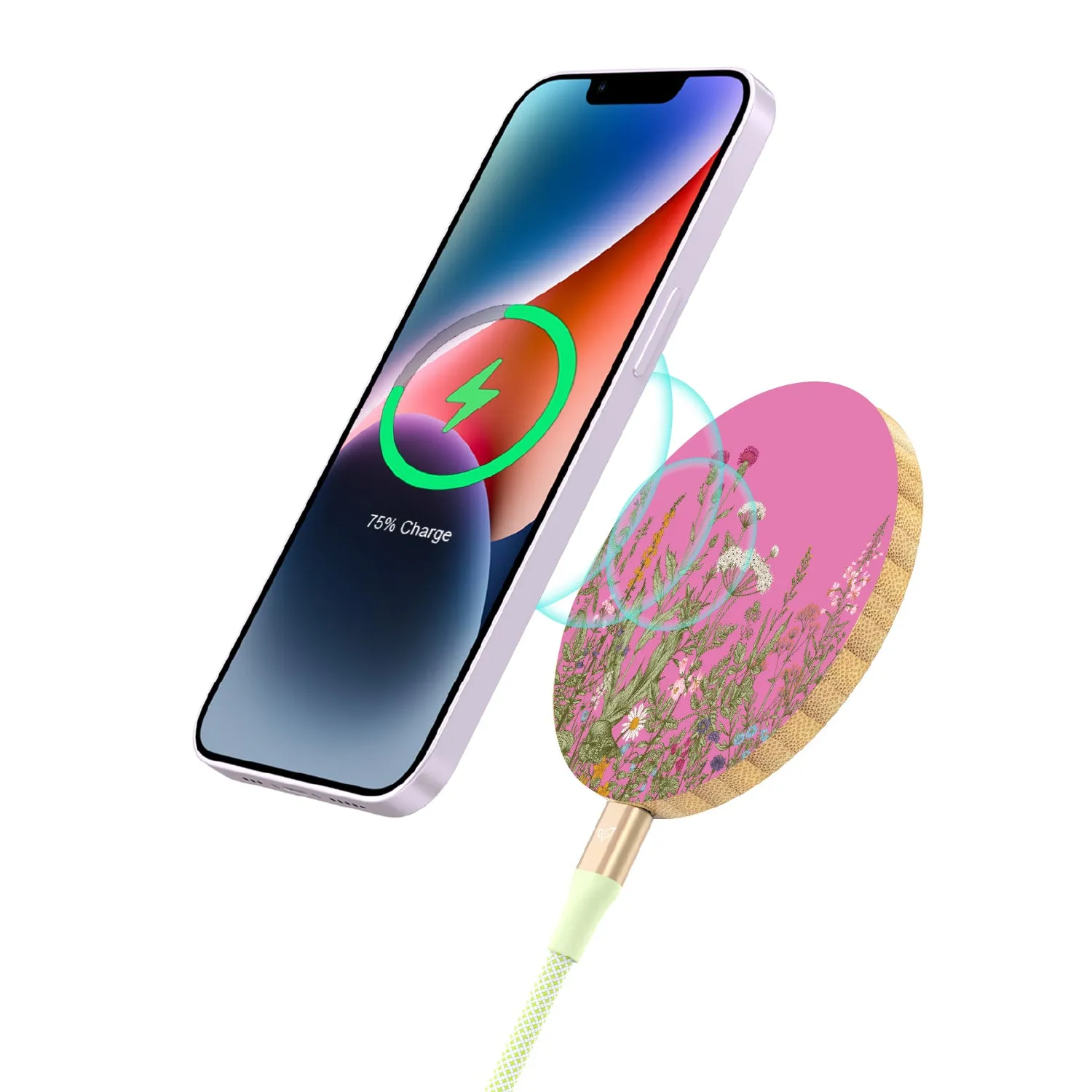 Take Root - Bamboo Wireless Charger