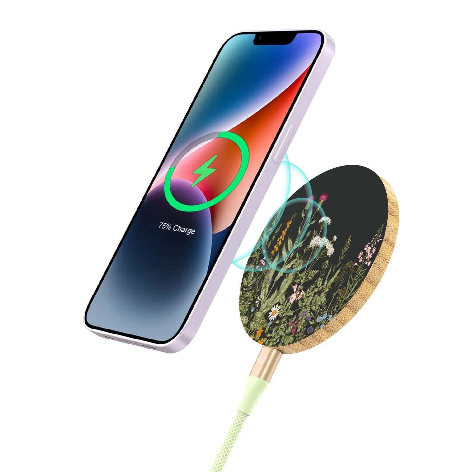 Take Root - Bamboo Wireless Charger