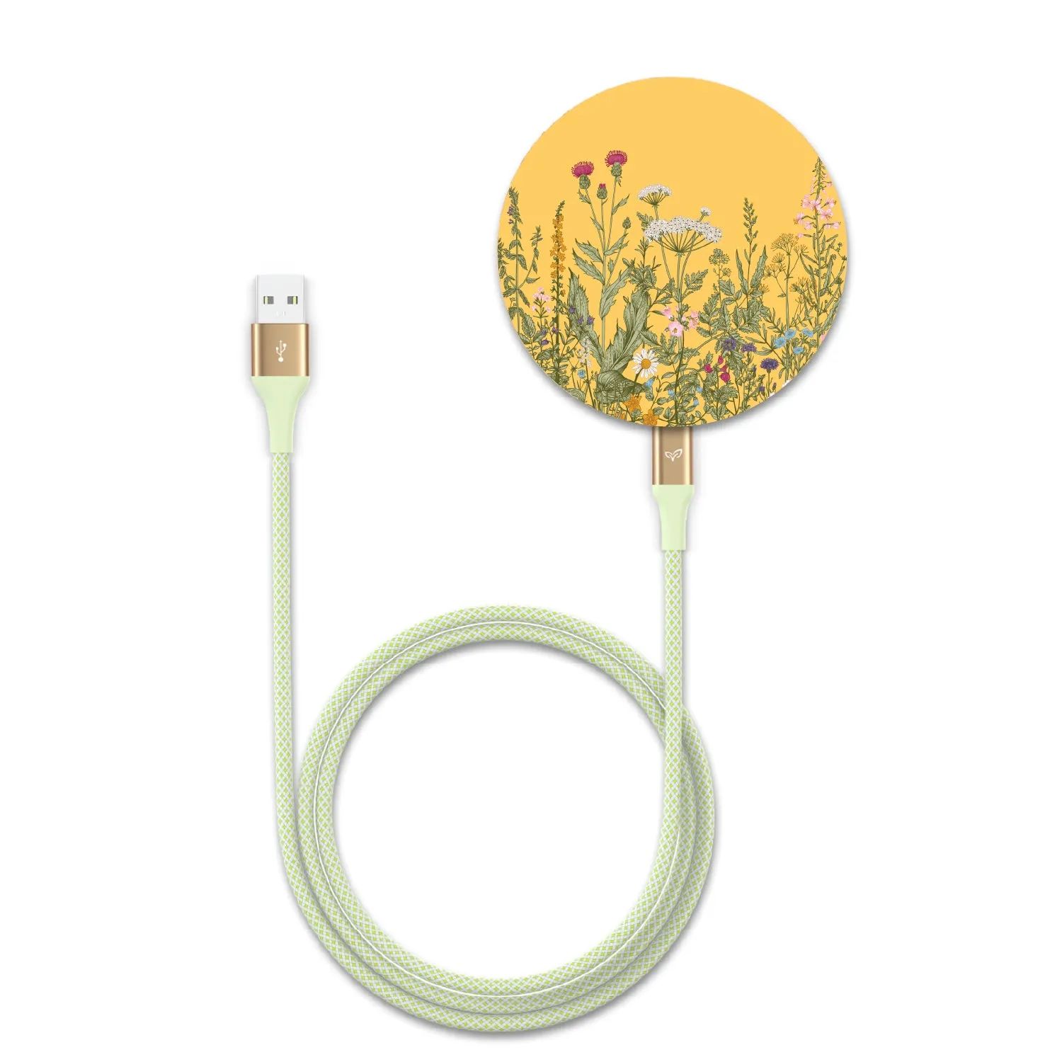 Take Root - Bamboo Wireless Charger